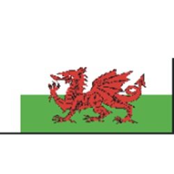 BECC Wales Modern National Flag 10mm