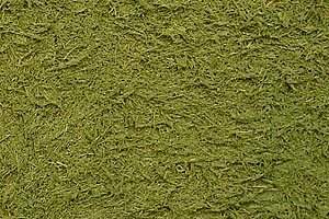 Tamiya Texture Paint Grass Effect Green 100ml