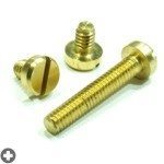 Mini Brass Screw M2 x 4mm (50)