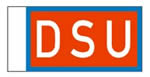 BECC DSU Company Flag 10mm