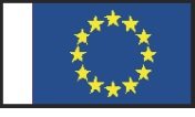 BECC European Union Flag 38mm