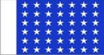 USA Naval Jack 42 Stars 1889