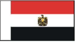 BECC Egypt National Flag 10mm