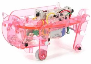 Tamiya Mechanical Pig