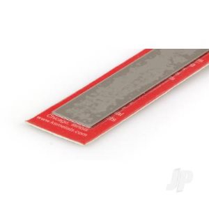 Stainless Steel Strip (12 inches)