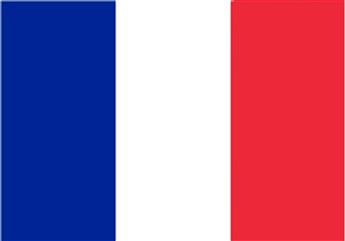 France National Flag Length 25mm Height 13mm