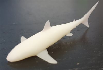 Shark 70mm