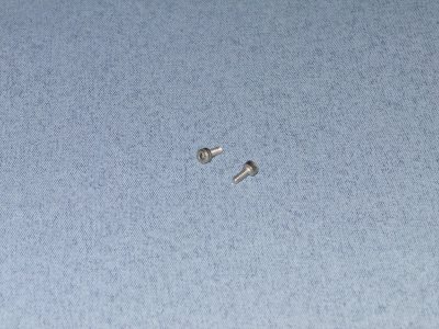 M2 x 5mm Stainless Steel Socket Screw (2)