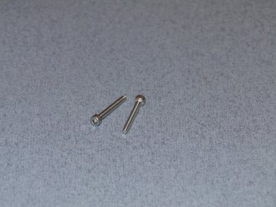 M2.5 x 20mm Stainless Steel Socket Screw (2)