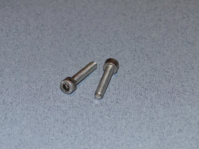 M5 x 25mm Stainless Steel Socket Screw (2)