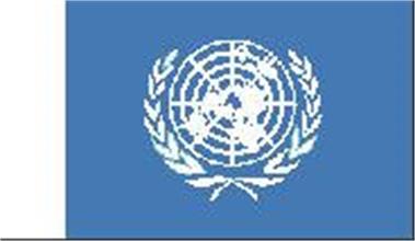 United Nations Flag 25mm