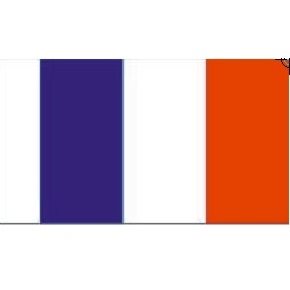 BECC France National Flag 10mm
