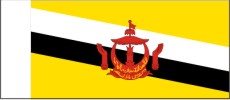 BECC Brunei National Flag 20mm