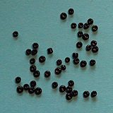 Parral Beads 2mm diameter (40)