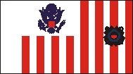 BECC US Coastguard Flag 100mm