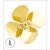 Raboesch 20mm 4 Blade L/H Brass D-Type Propeller M3 - view 1