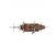 Amati Pirate Ship First Step Starter Kit - view 4
