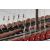 Dusek Viking Longship 1:35 Scale - view 5