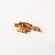 Belaying Pin Walnut 6mm - view 2