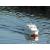 Aerokits Sea Queen 46in Cabin Cruiser Model Boat Kit - view 3