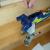 Modelcraft Hobby Bench Vice PVC7006