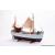 Billing Boats Mary Ann B472  Model Boat Kit - view 2