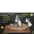 Mantua Models Armed Swedish Gunboat 1/35 Model Kit 722 - view 2