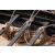 Dusek Viking Longship 1:35 Scale - view 3