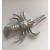 Lobster 65 x 45mm - view 2