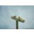 Curved Fairlead 20x5mm (2) - view 1