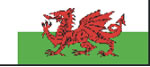 Wales Modern National Flag 20mm