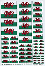 BECC Wales National Flag - Decal Multipack